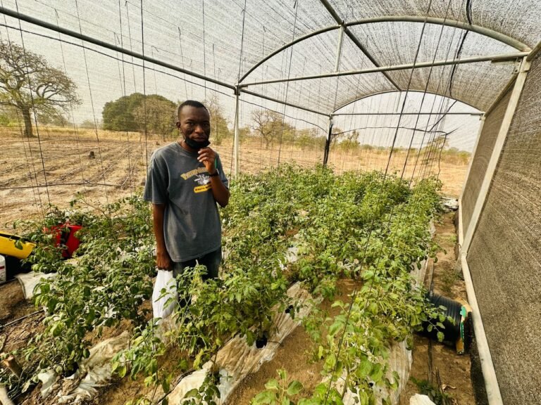 Our end-to-end business advisory support targets micro and small scale entrepreneurs to build